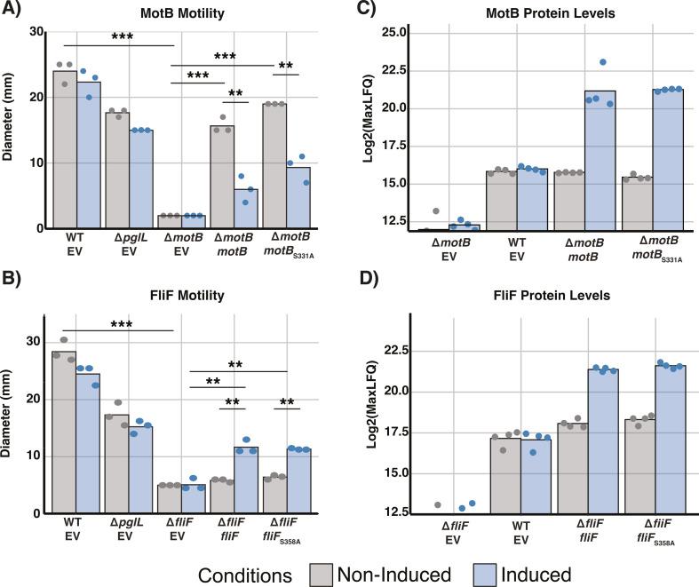 https://cdn.ncbi.nlm.nih.gov/pmc/blobs/1c07/11237607/208d0e654e22/spectrum.00346-24.f005.jpg