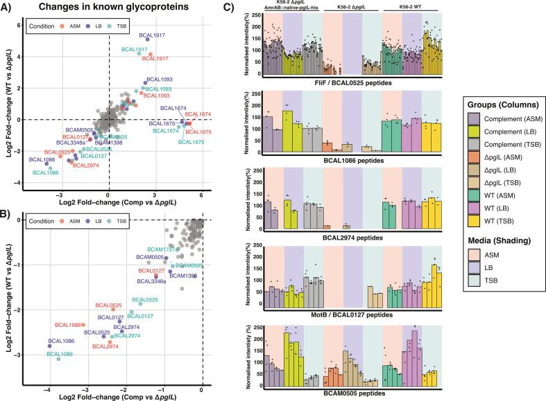 https://cdn.ncbi.nlm.nih.gov/pmc/blobs/1c07/11237607/64dbc7ecfe47/spectrum.00346-24.f003.jpg