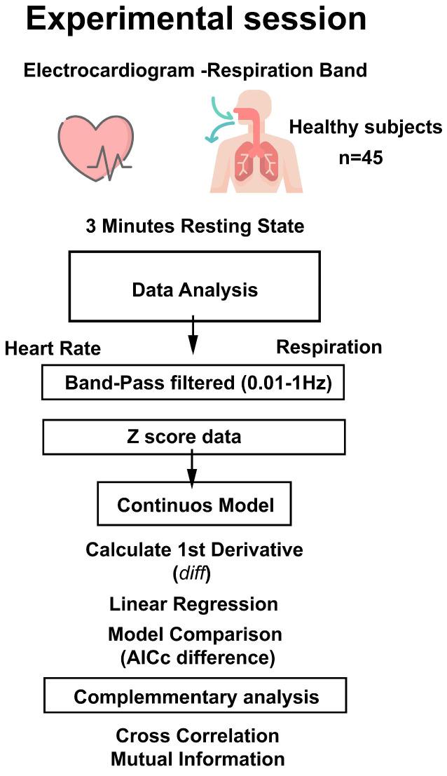 https://cdn.ncbi.nlm.nih.gov/pmc/blobs/1c07/11675163/8d29f2332579/entropy-26-01083-g001.jpg