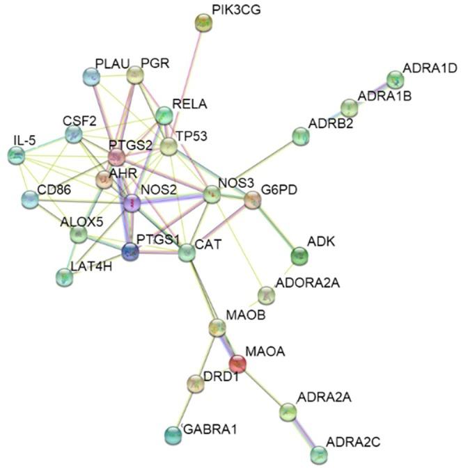 https://cdn.ncbi.nlm.nih.gov/pmc/blobs/1c07/12325102/202dc599b0b9/FSN3-13-e70726-g004.jpg