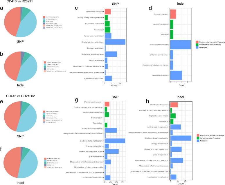 https://cdn.ncbi.nlm.nih.gov/pmc/blobs/1c0a/12131768/260c5e656802/spectrum.02018-24.f004.jpg