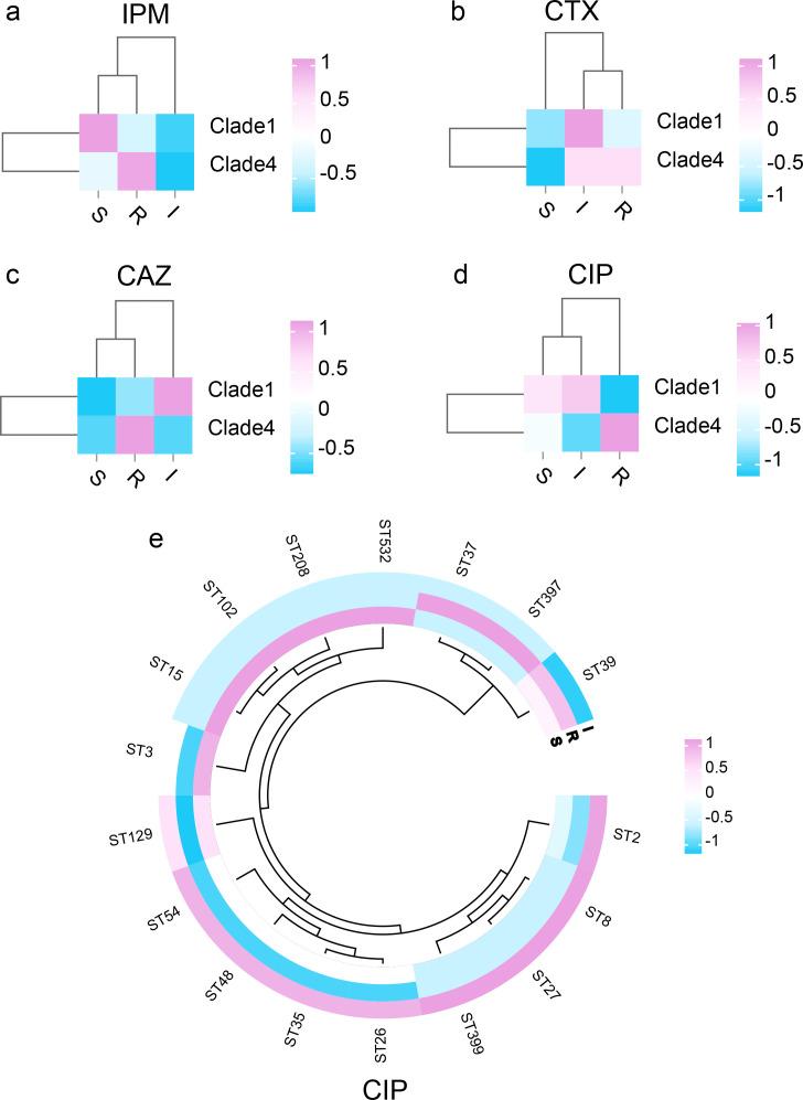 https://cdn.ncbi.nlm.nih.gov/pmc/blobs/1c0a/12131768/a3a0c274cdc5/spectrum.02018-24.f002.jpg