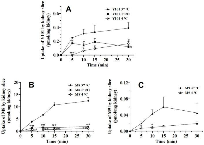 https://cdn.ncbi.nlm.nih.gov/pmc/blobs/1c0a/9967645/4166d36b6c3c/molecules-28-01995-g006.jpg