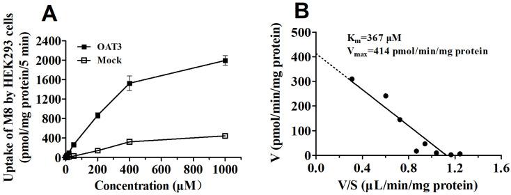 https://cdn.ncbi.nlm.nih.gov/pmc/blobs/1c0a/9967645/6a0617ce2fa8/molecules-28-01995-g010.jpg