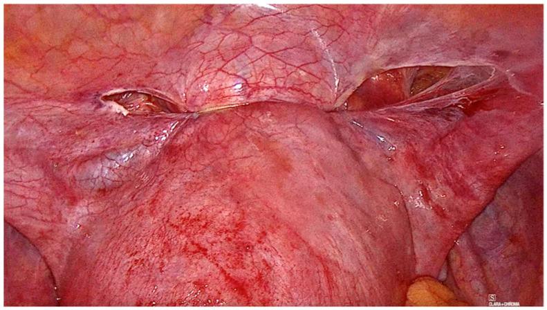 https://cdn.ncbi.nlm.nih.gov/pmc/blobs/1c0c/10672779/aeeca4e07784/medicina-59-01979-g002.jpg