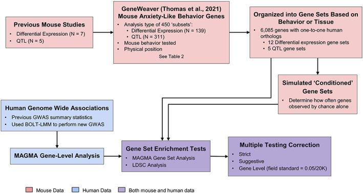 https://cdn.ncbi.nlm.nih.gov/pmc/blobs/1c0c/10733569/b20fad9f5ac9/GBB-22-e12851-g005.jpg