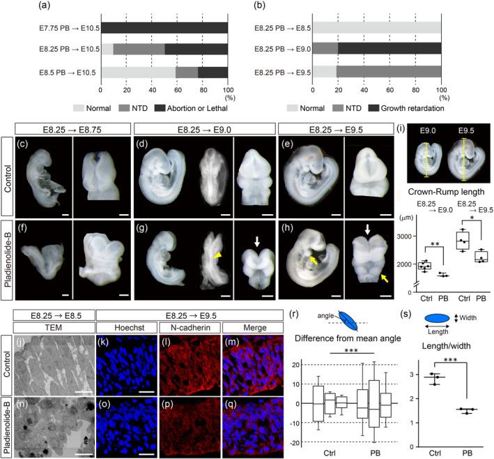 https://cdn.ncbi.nlm.nih.gov/pmc/blobs/1c0c/11579809/f49830798ec1/BDR2-116-e2404-g004.jpg