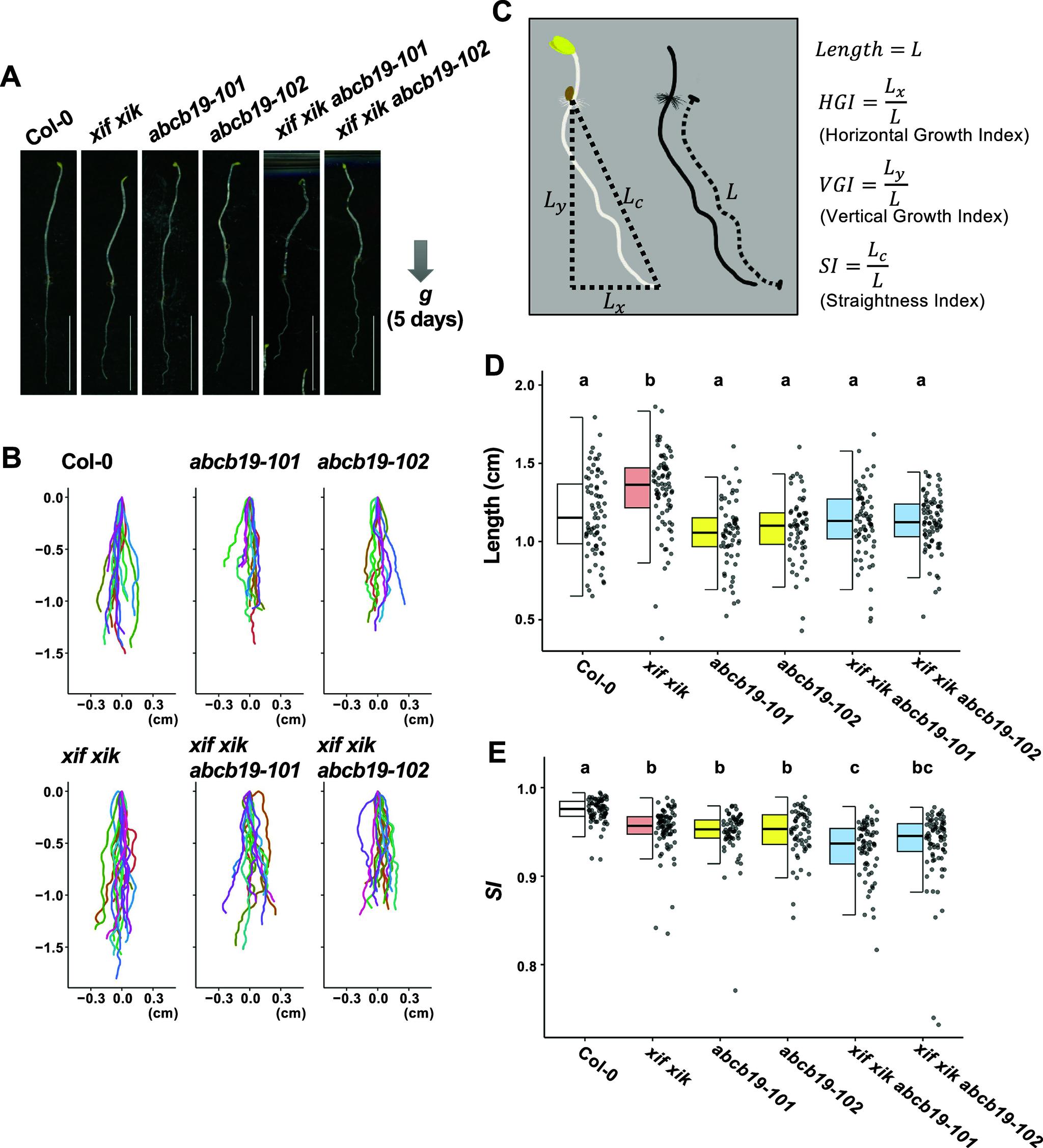 https://cdn.ncbi.nlm.nih.gov/pmc/blobs/1c0c/11706685/893a020f4bff/S2632882824000122_fig2.jpg
