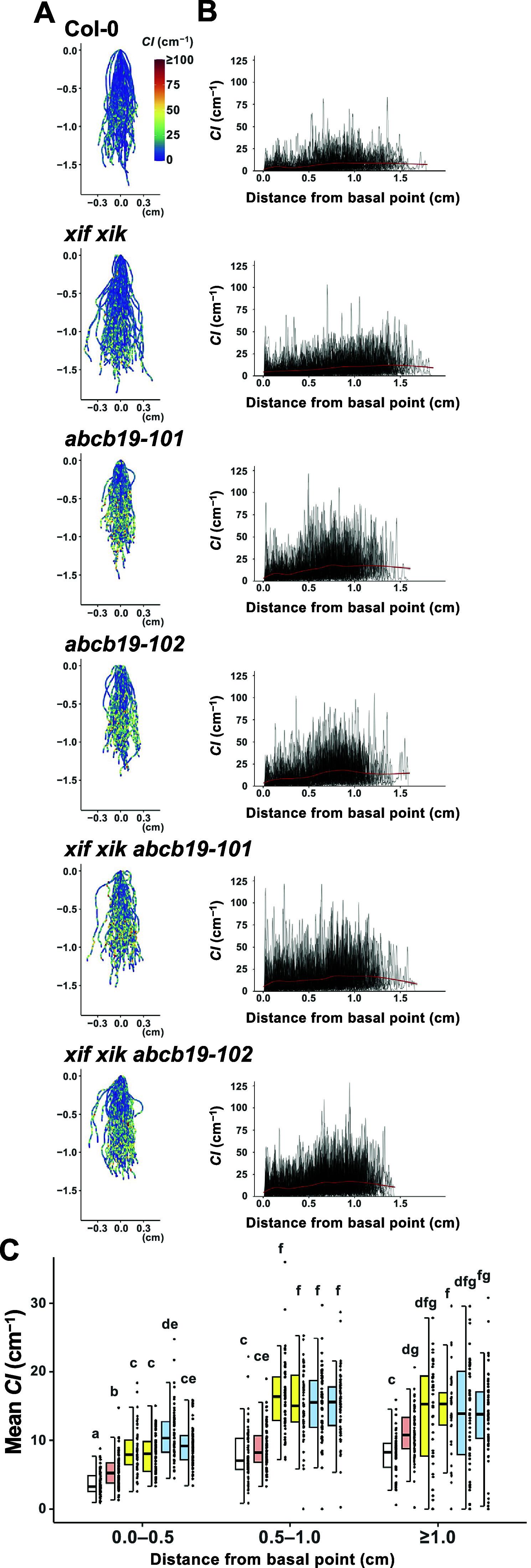 https://cdn.ncbi.nlm.nih.gov/pmc/blobs/1c0c/11706685/ed57b43bb077/S2632882824000122_fig4.jpg