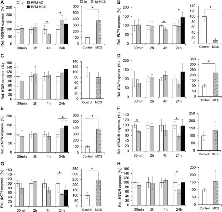 https://cdn.ncbi.nlm.nih.gov/pmc/blobs/1c0d/8893349/233b939fe04b/fcell-10-841017-g007.jpg