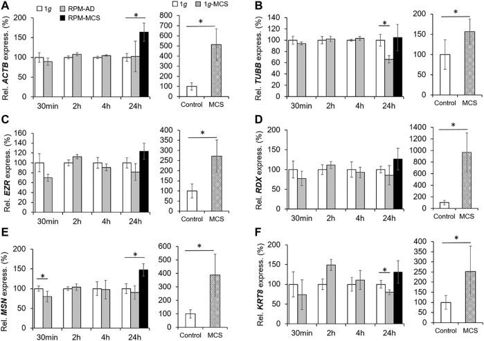 https://cdn.ncbi.nlm.nih.gov/pmc/blobs/1c0d/8893349/400f691618e1/fcell-10-841017-g003.jpg