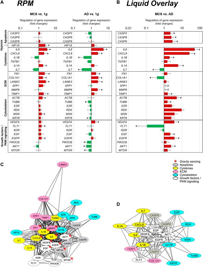 https://cdn.ncbi.nlm.nih.gov/pmc/blobs/1c0d/8893349/e387f1f65a1e/fcell-10-841017-g008.jpg