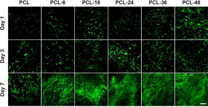 https://cdn.ncbi.nlm.nih.gov/pmc/blobs/1c0e/10510513/2f168ee9f961/mg3c00027_0005.jpg