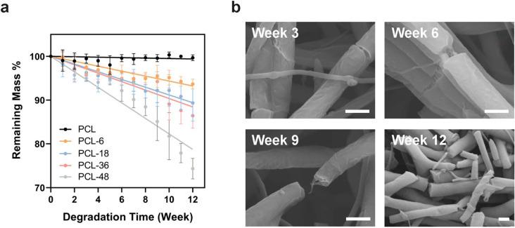 https://cdn.ncbi.nlm.nih.gov/pmc/blobs/1c0e/10510513/433bafb2095a/mg3c00027_0003.jpg