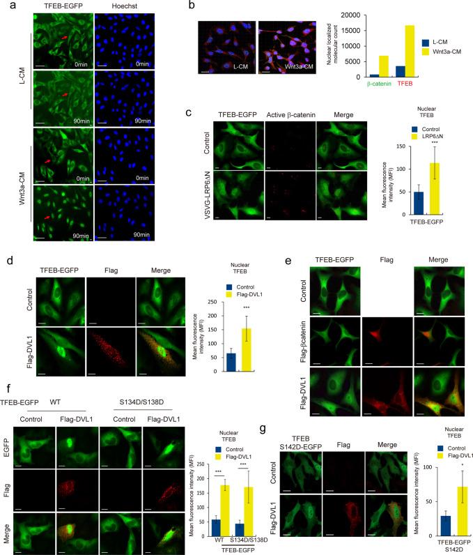 https://cdn.ncbi.nlm.nih.gov/pmc/blobs/1c10/8408140/6976fffb1e73/41418_2021_770_Fig1_HTML.jpg