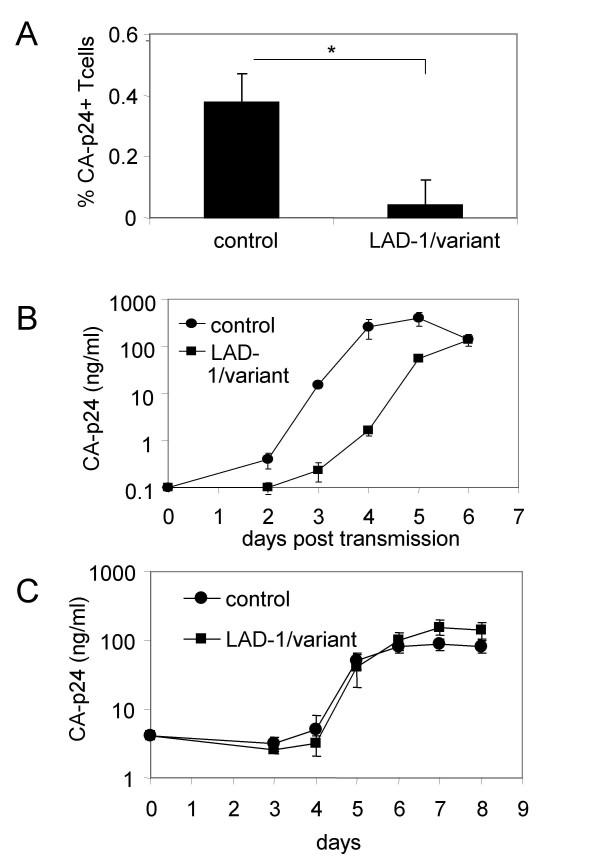 https://cdn.ncbi.nlm.nih.gov/pmc/blobs/1c11/1635562/445be0ee4479/1742-4690-3-75-4.jpg