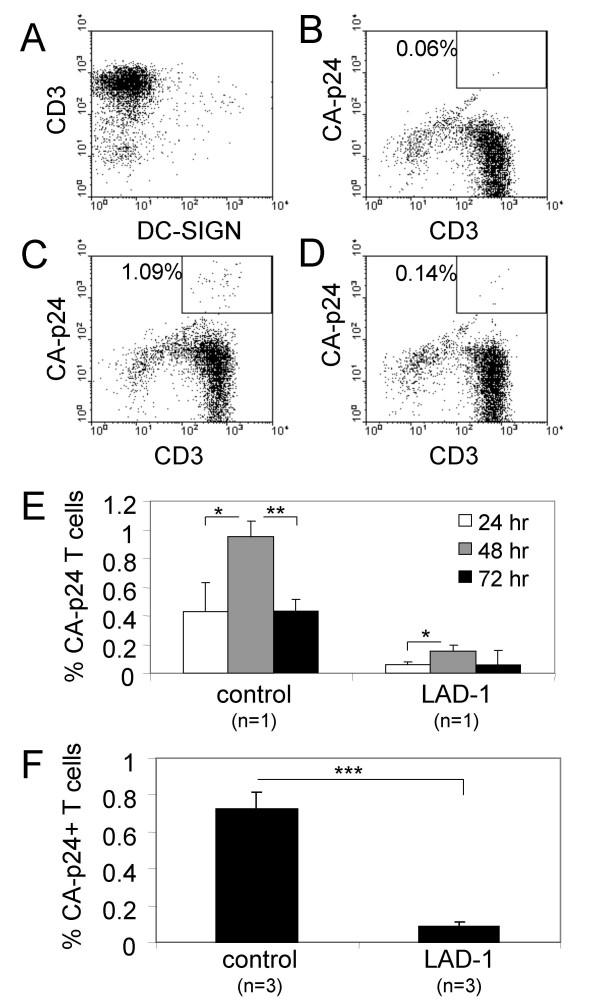 https://cdn.ncbi.nlm.nih.gov/pmc/blobs/1c11/1635562/cb697c8f216c/1742-4690-3-75-2.jpg
