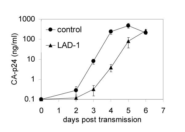 https://cdn.ncbi.nlm.nih.gov/pmc/blobs/1c11/1635562/f23e36b78e2d/1742-4690-3-75-3.jpg