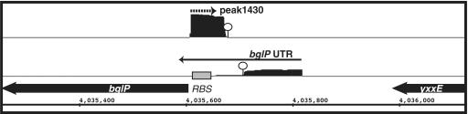 https://cdn.ncbi.nlm.nih.gov/pmc/blobs/1c11/2965217/598fa853858f/gkq454f7.jpg