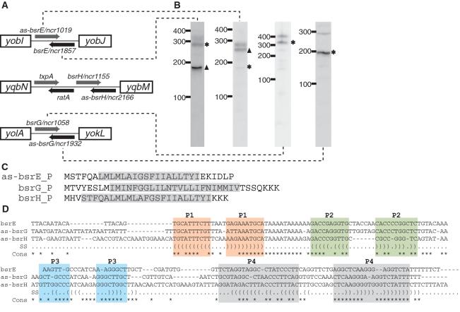 https://cdn.ncbi.nlm.nih.gov/pmc/blobs/1c11/2965217/7c6e4d78bfe2/gkq454f6.jpg