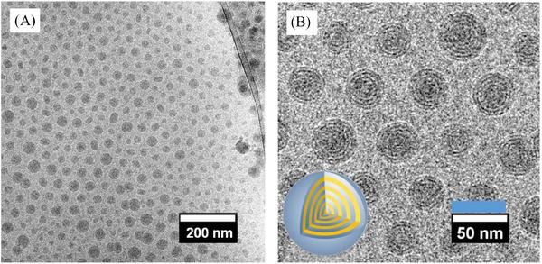 https://cdn.ncbi.nlm.nih.gov/pmc/blobs/1c13/8242609/4cd6c77d805c/NANO-3-227-g003.jpg