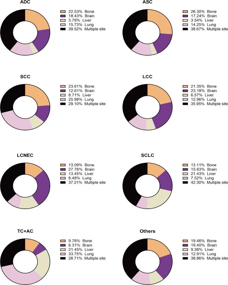 https://cdn.ncbi.nlm.nih.gov/pmc/blobs/1c14/11438988/a59622c608f6/41598_2024_73389_Fig2_HTML.jpg