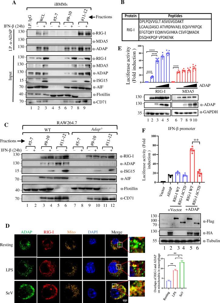 https://cdn.ncbi.nlm.nih.gov/pmc/blobs/1c15/11111093/8a20b4d33184/ppat.1012230.g003.jpg