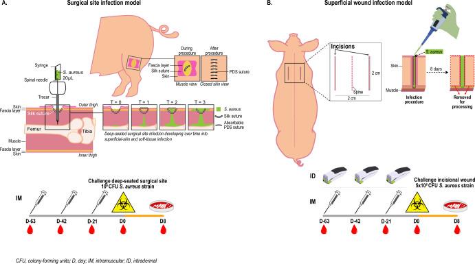 https://cdn.ncbi.nlm.nih.gov/pmc/blobs/1c15/12009994/d436cd9c91d2/41541_2025_1119_Fig2_HTML.jpg