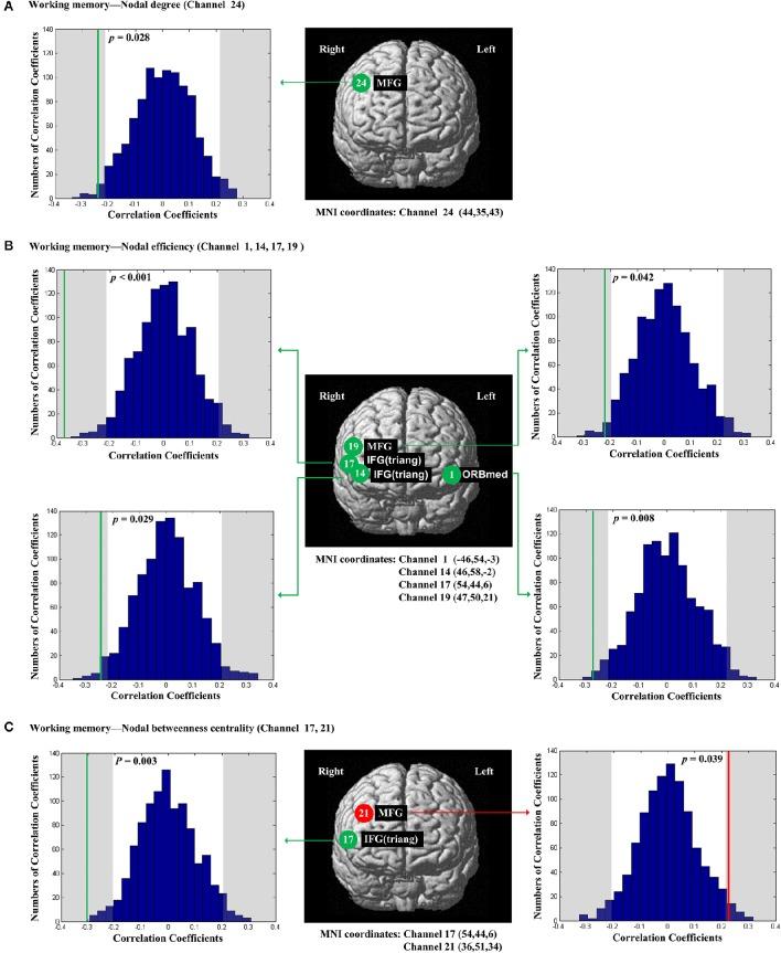 https://cdn.ncbi.nlm.nih.gov/pmc/blobs/1c16/5054000/77491f9461f8/fnins-10-00452-g0006.jpg
