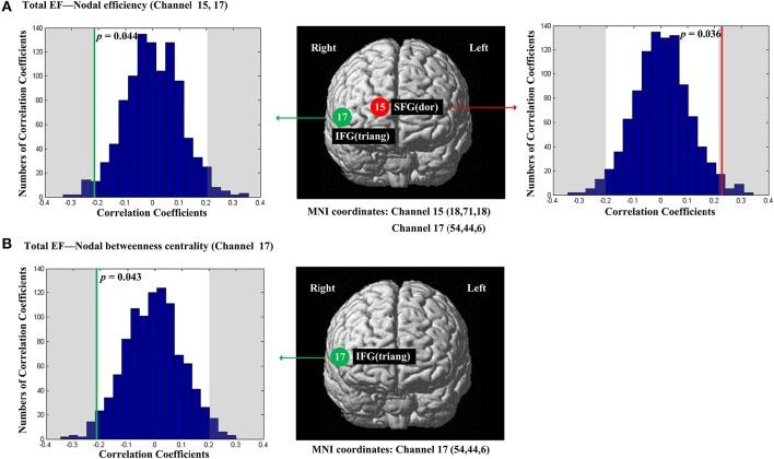 https://cdn.ncbi.nlm.nih.gov/pmc/blobs/1c16/5054000/cf893fdf4dc4/fnins-10-00452-g0004.jpg