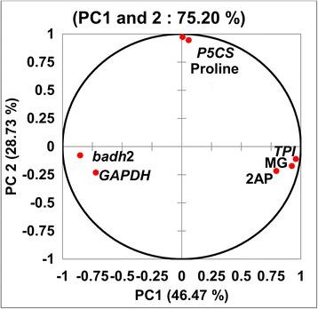 https://cdn.ncbi.nlm.nih.gov/pmc/blobs/1c17/4975739/839a503364b7/12284_2016_113_Fig6_HTML.jpg
