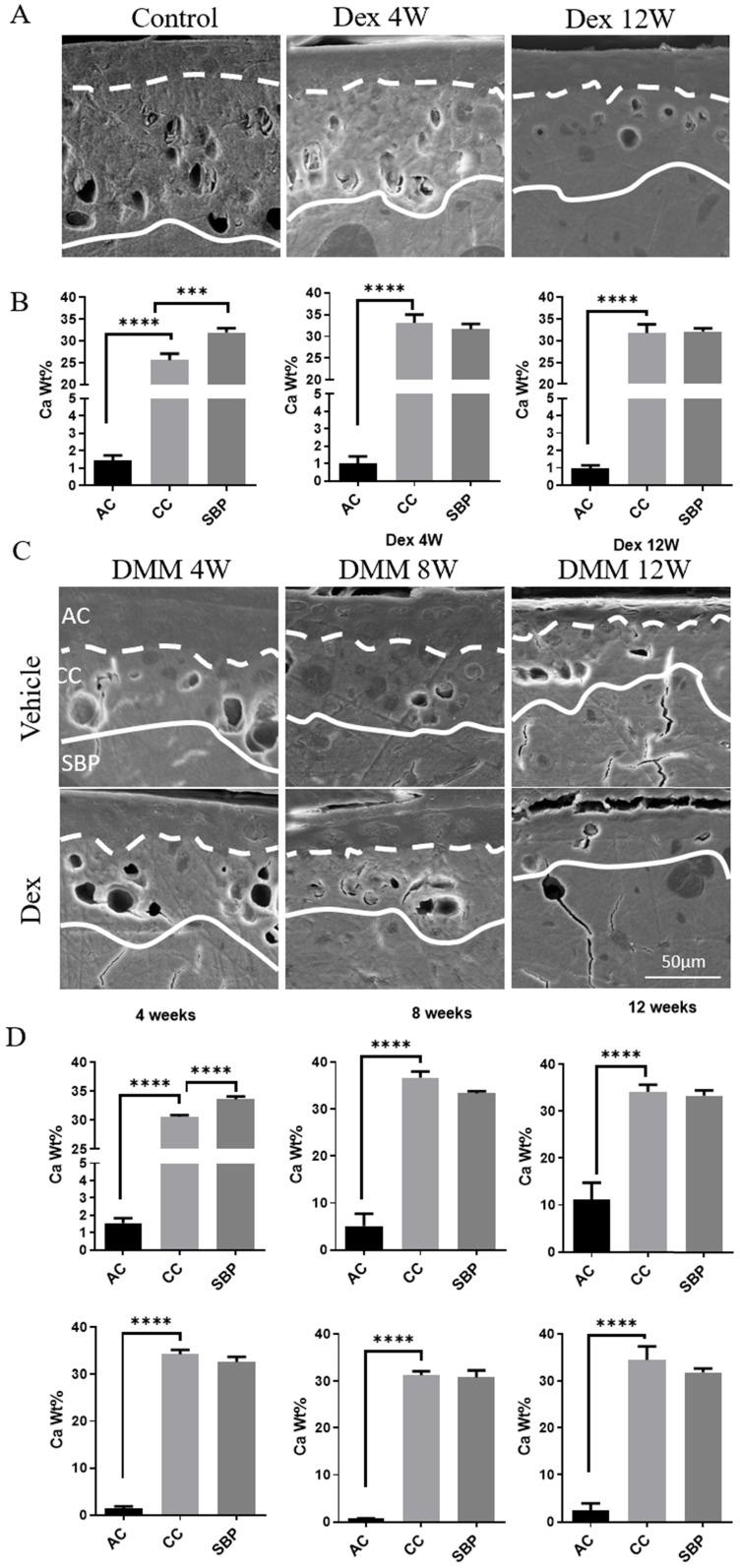 https://cdn.ncbi.nlm.nih.gov/pmc/blobs/1c17/8579451/4c14ac8f0e69/ijbsv17p4140g003.jpg