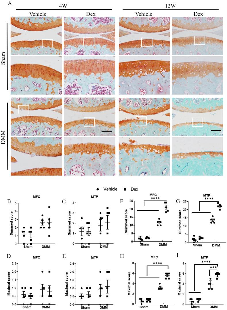 https://cdn.ncbi.nlm.nih.gov/pmc/blobs/1c17/8579451/716e11c138f7/ijbsv17p4140g002.jpg