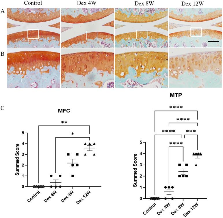 https://cdn.ncbi.nlm.nih.gov/pmc/blobs/1c17/8579451/aa181eab693a/ijbsv17p4140g001.jpg