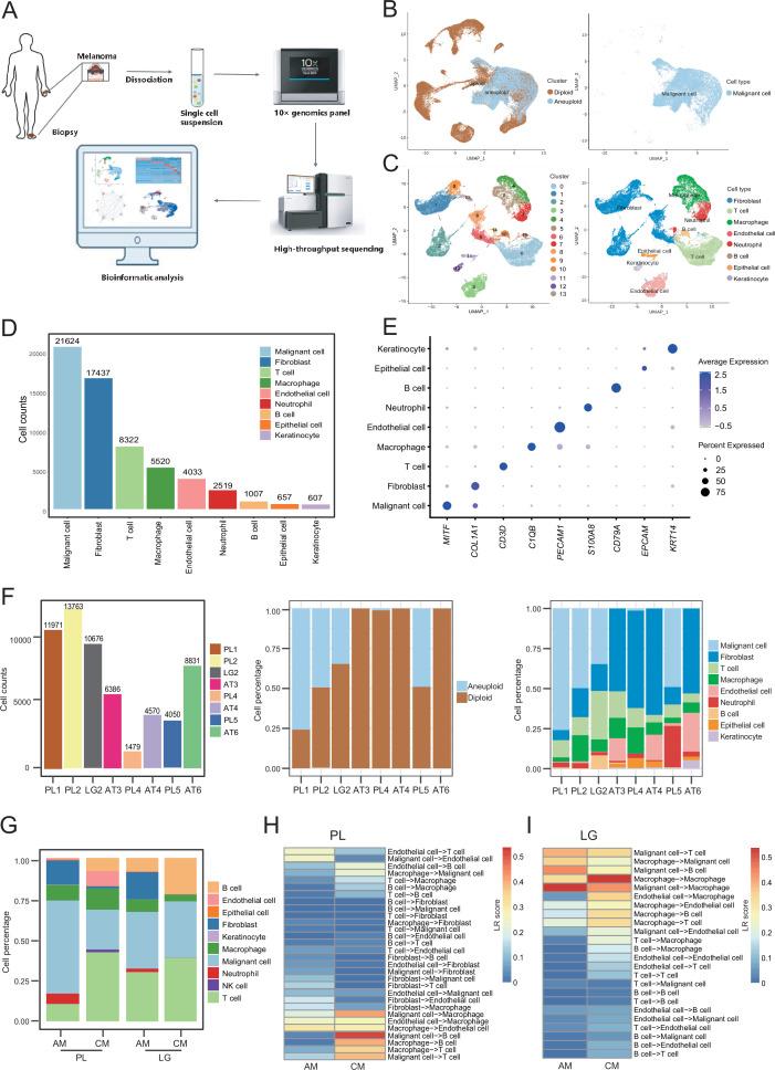 https://cdn.ncbi.nlm.nih.gov/pmc/blobs/1c1a/9398445/0b03326b4e26/elife-78616-fig1.jpg