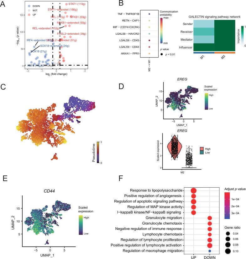 https://cdn.ncbi.nlm.nih.gov/pmc/blobs/1c1a/9398445/76db115e04a8/elife-78616-fig4-figsupp1.jpg