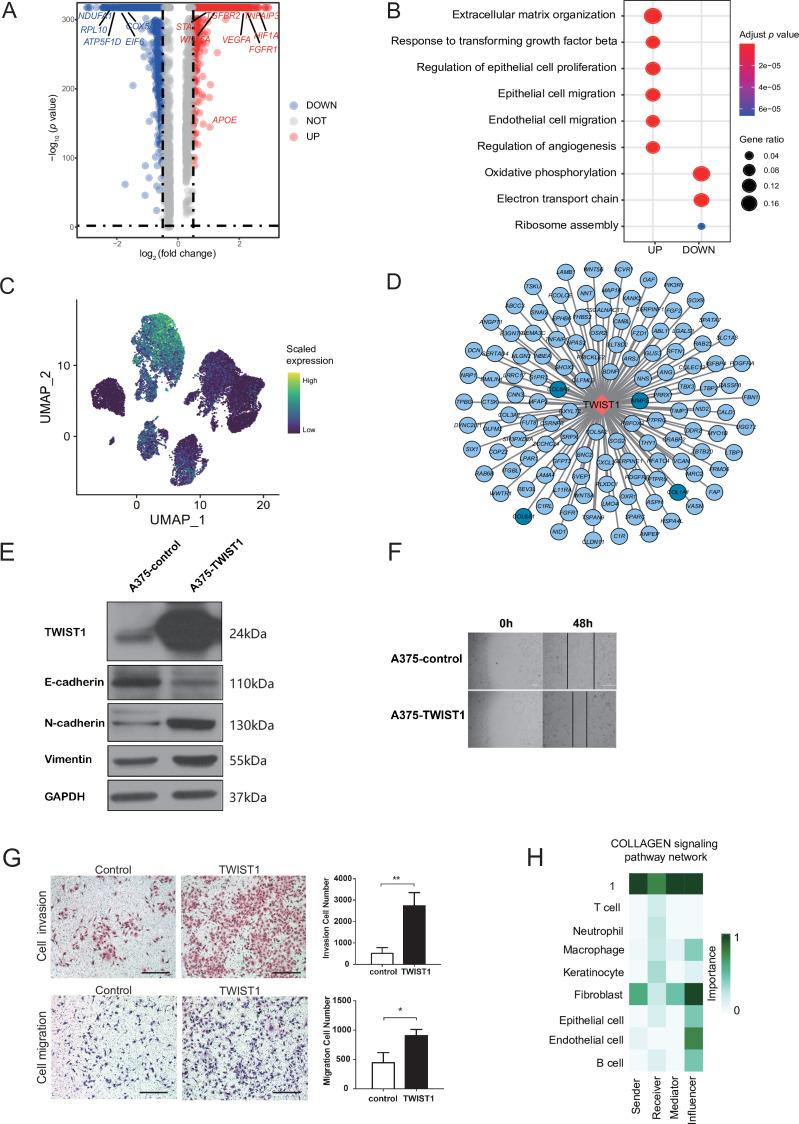 https://cdn.ncbi.nlm.nih.gov/pmc/blobs/1c1a/9398445/848b3a86ae65/elife-78616-fig3-figsupp1.jpg