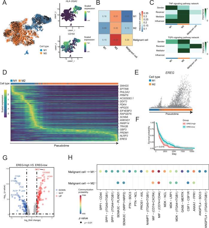 https://cdn.ncbi.nlm.nih.gov/pmc/blobs/1c1a/9398445/befc23de91c6/elife-78616-fig4.jpg