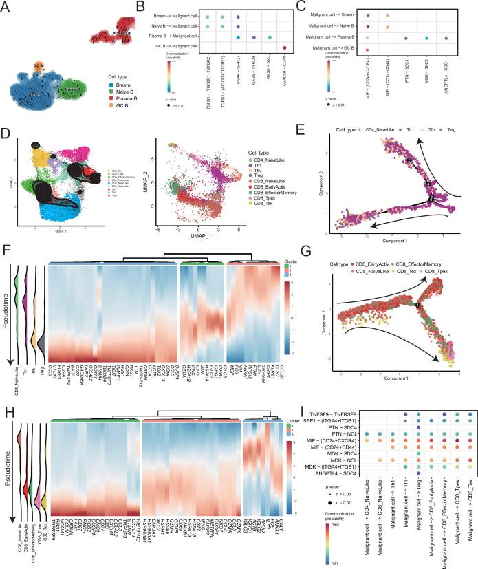 https://cdn.ncbi.nlm.nih.gov/pmc/blobs/1c1a/9398445/bfb21c120b78/elife-78616-fig5.jpg