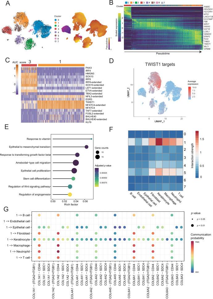 https://cdn.ncbi.nlm.nih.gov/pmc/blobs/1c1a/9398445/fdd5465a17b8/elife-78616-fig3.jpg