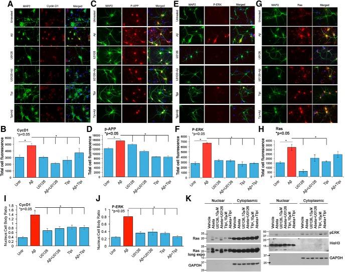 https://cdn.ncbi.nlm.nih.gov/pmc/blobs/1c1b/5367084/7e4b66aa5304/enu0021722730009.jpg