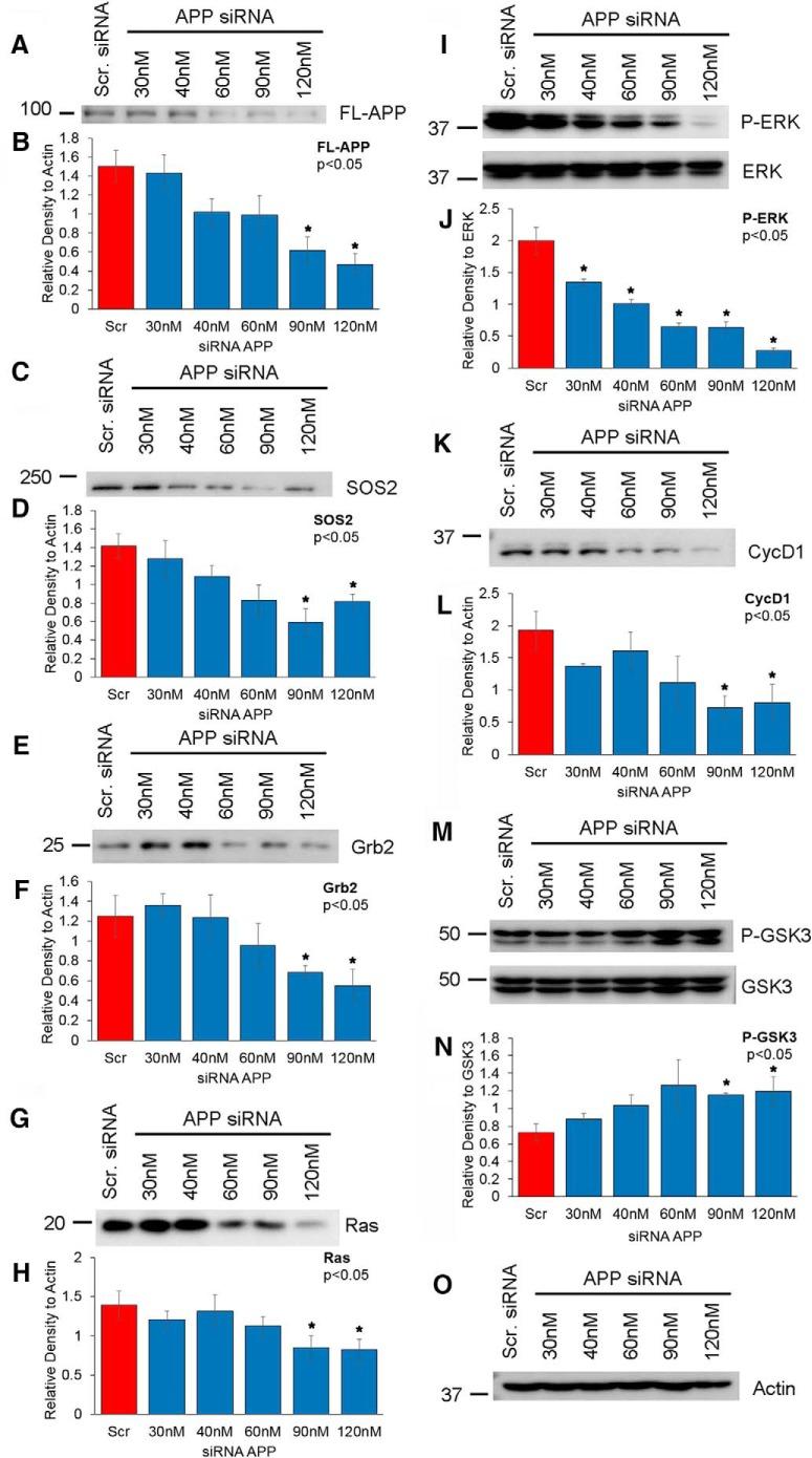 https://cdn.ncbi.nlm.nih.gov/pmc/blobs/1c1b/5367084/928745f913e5/enu0021722730002.jpg