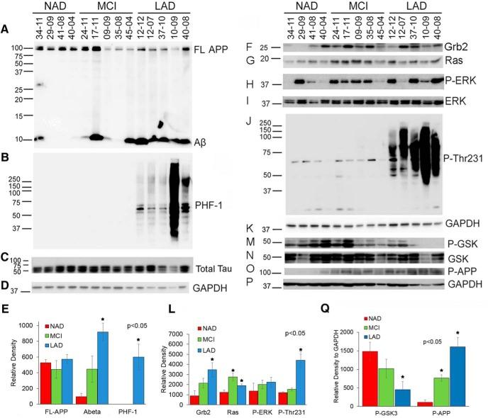 https://cdn.ncbi.nlm.nih.gov/pmc/blobs/1c1b/5367084/a748a04999e3/enu0021722730003.jpg