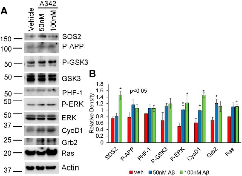 https://cdn.ncbi.nlm.nih.gov/pmc/blobs/1c1b/5367084/b8464cff61db/enu0021722730007.jpg