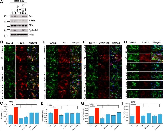 https://cdn.ncbi.nlm.nih.gov/pmc/blobs/1c1b/5367084/c2c5c500d381/enu0021722730011.jpg