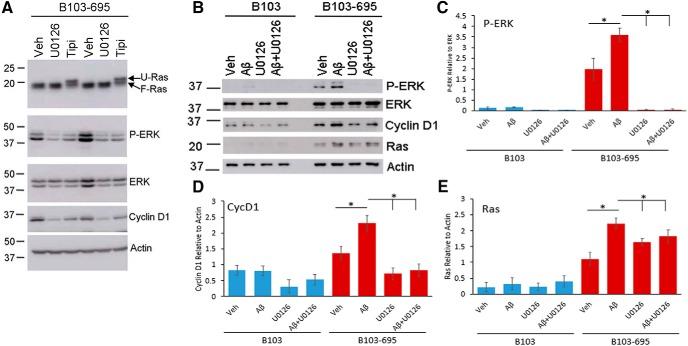 https://cdn.ncbi.nlm.nih.gov/pmc/blobs/1c1b/5367084/dfface0e6e3e/enu0021722730008.jpg