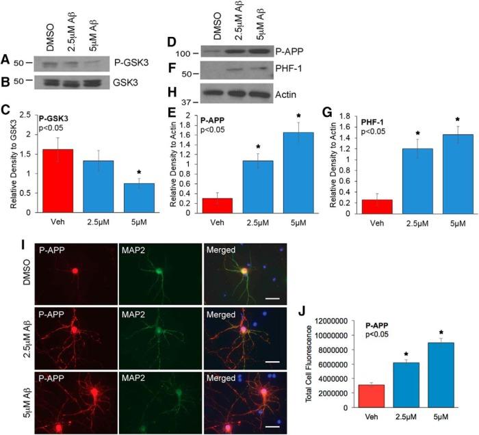 https://cdn.ncbi.nlm.nih.gov/pmc/blobs/1c1b/5367084/fe172621afd7/enu0021722730006.jpg