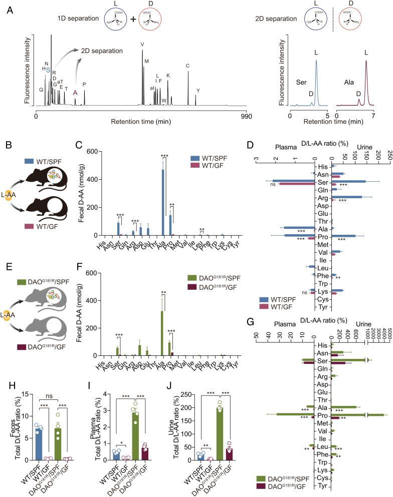 https://cdn.ncbi.nlm.nih.gov/pmc/blobs/1c1d/10104486/12d92860b998/pnas.2300817120fig01.jpg