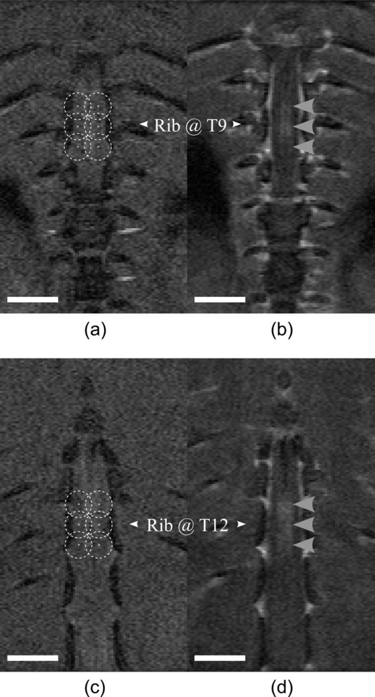 https://cdn.ncbi.nlm.nih.gov/pmc/blobs/1c1d/7904756/b24039ab108e/41598_2021_83874_Fig2_HTML.jpg