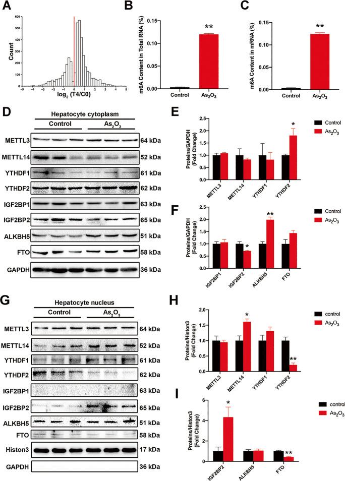 https://cdn.ncbi.nlm.nih.gov/pmc/blobs/1c1f/8882720/2fb78e76211b/10565_2022_9703_Fig7_HTML.jpg